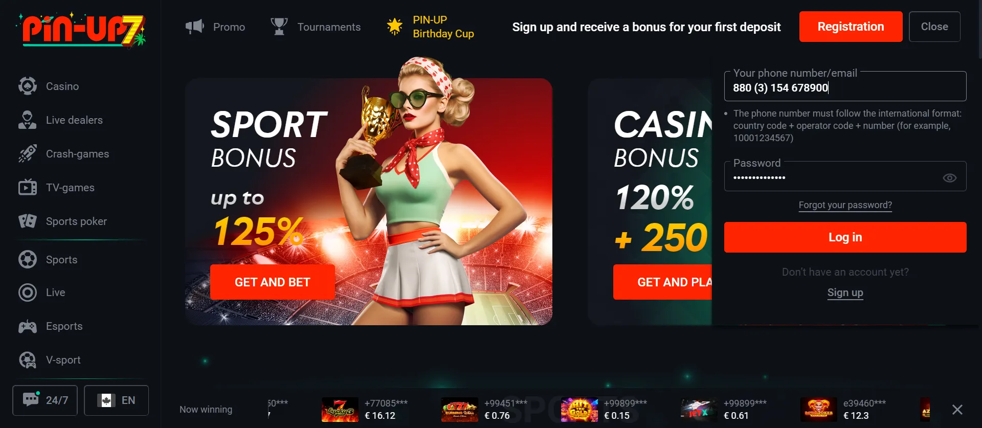 Pin Up Casino Website