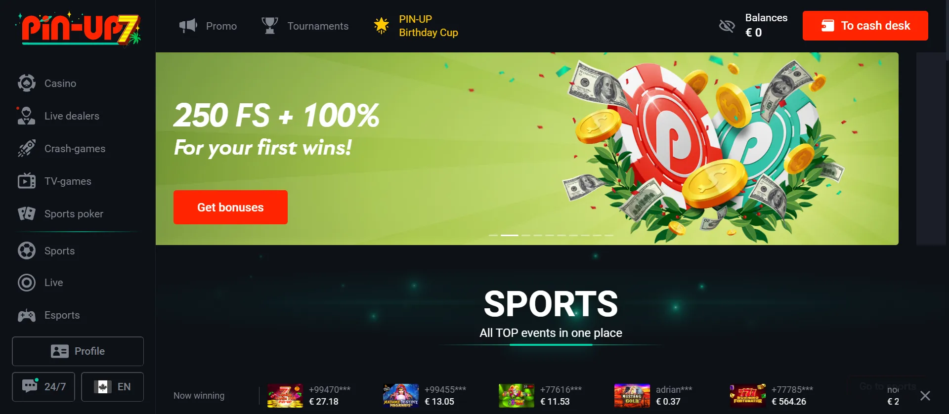 Pin Up Casino Website